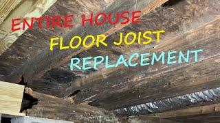 Rotten Floor Joist Replacement on a MASSIVE scale!  Entire House Floor Joist Replacement project.