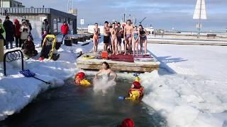 Polar Bear Dip 2020