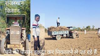 फसल कटने के बाद इकठ्ठा कर निकालने के लिए जा रहे हैं||Village farmer farming Rajasthan India