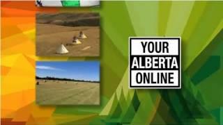 Your Alberta Online #5 (Feb. 4, 2011)