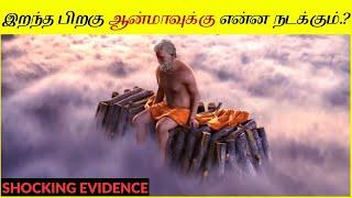 நாம் இறந்த பிறகு நம் ஆன்மா எங்கே போகிறது? Is Afterlife True.? What Happens To Soul After Death?