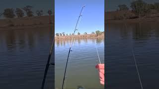 Having a hard time fishing #fishing #perchfishing #lurefishing
