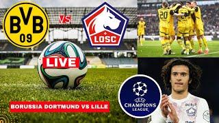 Borussia Dortmund vs LOSC Lille 1-1 Live Stream Champions League UCL Football Match Score Highlights