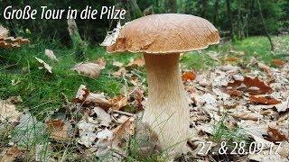 Große Tour in die Pilze - 27. & 28.09.17 - Niedersachsen