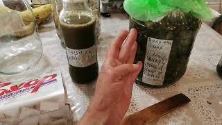 ЧИСТОТЕЛ ОТВЕТЫ НА ВОПРОСЫ