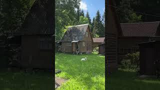 Продаётся 2-хэт.жилой дом с баней на уч.8.3 сот. в СНТ Каскад, Александровский р-н, Владимирская обл
