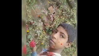 Neeraj Rathore