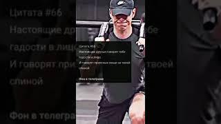 Цитаты, сохры