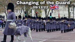 -2°C New Guard Leaves Wellington Barracks 09/12/22