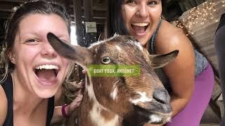10 Things to Love About Jasper Life