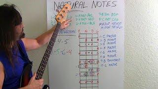 Bass Guitar For Beginners What Bassists Should Know