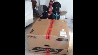 $1,400 MAINGEAR RAZER | Computer Unboxing #2