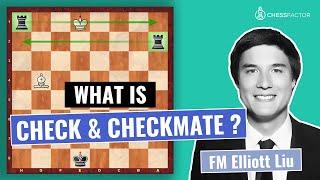 What is Check and Checkmate | Chess Fundamentals | FM Elliott Liu