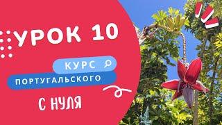 Курс португальского. Урок 10: poder, querer, costumar, este