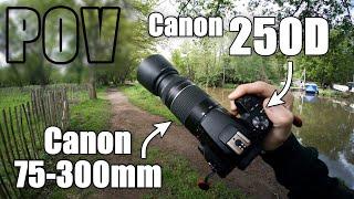 Chilled POV Wildlife Photography | Testing the Canon 250D and 75-300mm lens