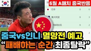 [중국반응] 월드컵 플레이오프 진출권이 걸린 '3차예선 인니전' 실시간 중국반응 "귀화선수가 19명이라니.." / (월드컵 해외반응, 외국반응 등)