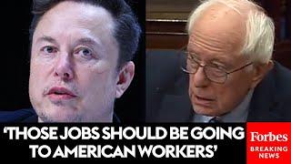 BREAKING: Bernie Sanders Accuses Tesla, Big Tech, Of H-1B Abuse, Pushes  Reforms To Protect US Jobs