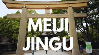 Watch This Video to Discover Why You Must Visit Meiji Jingu Shrine!