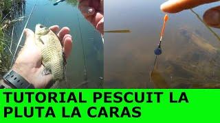 #PESCUIT LA PLUTA  #CARAS SALBATIC - #CUM INCEPEM O PARTIDA LA PLUTA