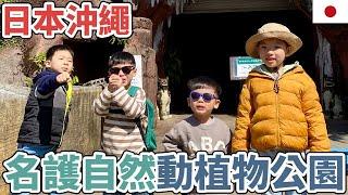 【日本旅遊】名護自然動植物公園！Neo Park Okinawa！ネオパークオキナワ！沖繩！Japan Okinawa Travel Vlog