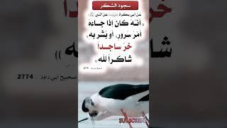 سجود الشكر: سنة نبوية مستحبة
