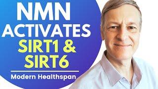 NMN Boosts SIRT1 & SIRT6 | Review By Modern Healthspan