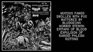 CRYPTIC BROOD / NIGHT HAG - split, 2021