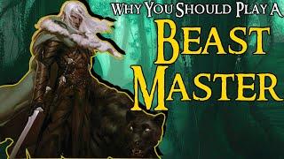 Why You Should Play A Beast Master | D&D 5e