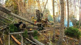 Cabin Life in Newfoundland! | Hunting Rabbits and Ducks | Cutting Firewood