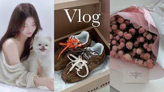 vlog 5시간 웨이팅 성공ㅣ산청숯불가든, 미우미우X뉴발란스 530, miumiu, 성수 프렌즈앤야드, 첫 차 캐스퍼 출고, 생레몬하이볼, 미호 스튜디오, 신당 베이글