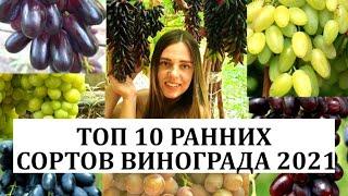 ТОП 10 РАННИХ СТОЛОВЫХ СОРТОВ ВИНОГРАДА В 2021 ГОДУ ОТ ВИНОГРАД-ОДЕССА/Top 10 Grapes