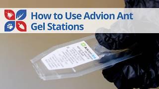 How to Use Advion Ant Gel Stations | DoMyOwn.com