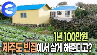 텃밭은 덤~ 백평 넘는 집이 1년에 100만원?! 제주도로 이사갑니다! 빈집 드립니다 |  하나뿐인 지구