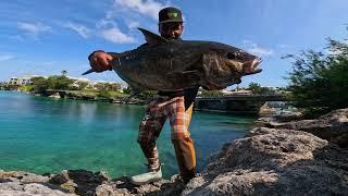 Giant Fish Goes CRAZY Over My Lure!