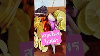 เสริมภูมิคุ้มกัน #health #care #good #herb #love #yourself #นกพรทิพย์