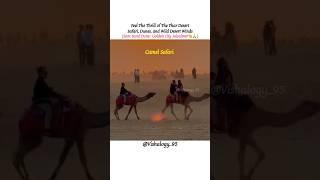 Desert Adventure, Jaisalmer #vishalogy_95 #jaisalmer #samdunes #india #thar #rajasthan #jeepsafari