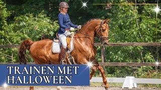 Galopwissels springen met Halloween | PaardenpraatTV