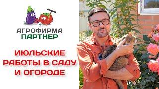 Июльские работы в саду и огороде