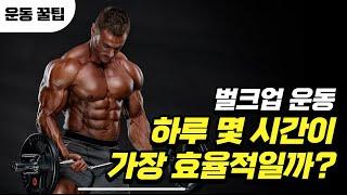 벌크업 운동, 프로선수들은 하루 몇 시간씩 할까?