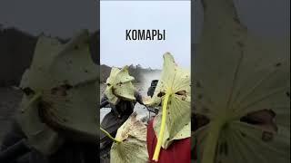 Когда приехал на рыбалку!  #рыбалка