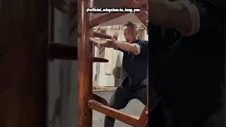 Mind-Blowing Mastery: Incredible Wooden Dummy Demo Showcasing Martial Arts Prowess - Tu Tengyao