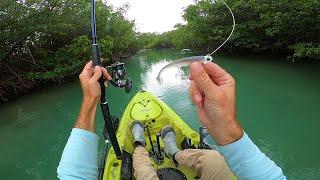 Didn't Expect This! Multi-Species Kayak Fishing Fort Pierce Florida