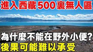 進入西藏500哩無人區，為什麼不能在野外小便？後果可能難以承受#百科全書#科普#西藏#西藏無人區