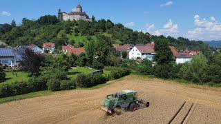 Weizen Dreschen | Fendt 5250L AL | 2024
