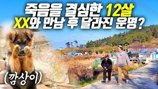 [오지:객 31-방축도] 김치가 부부 사이를 멀어지게 하는 충격적인 이유