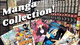 Manga Collection Tour ! | 500 + Volumes !