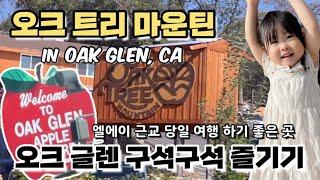 공작새가 맞아주는 오크 트리 마운틴 빌리지 체험 |  미국 캘리포니아 오크 글렌 구석구석 즐기기 #1 | Oak Tree Mountain Village in Oak Glen