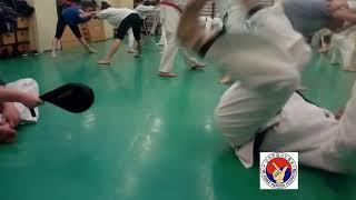 This is The Korea Hapkido Federation!!!