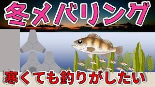 【冬メバリング】冬メバルの特徴と棲息範囲と狙い方と場所選び