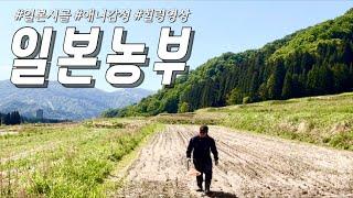 힐링되는 일본시골풍경, 애니 실사화! 일본농부 한국인